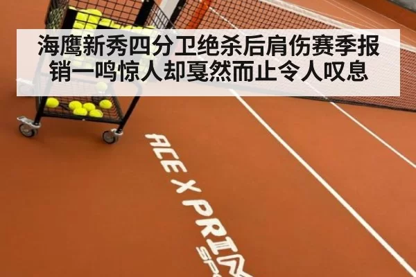 海鹰新秀四分卫绝杀后肩伤赛季报销一鸣惊人却戛然而止令人叹息